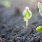 Konya Sohbet Site Konya Sohbet Site